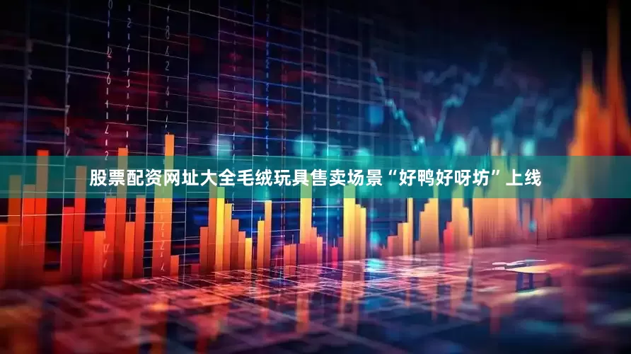 股票配资网址大全毛绒玩具售卖场景“好鸭好呀坊”上线